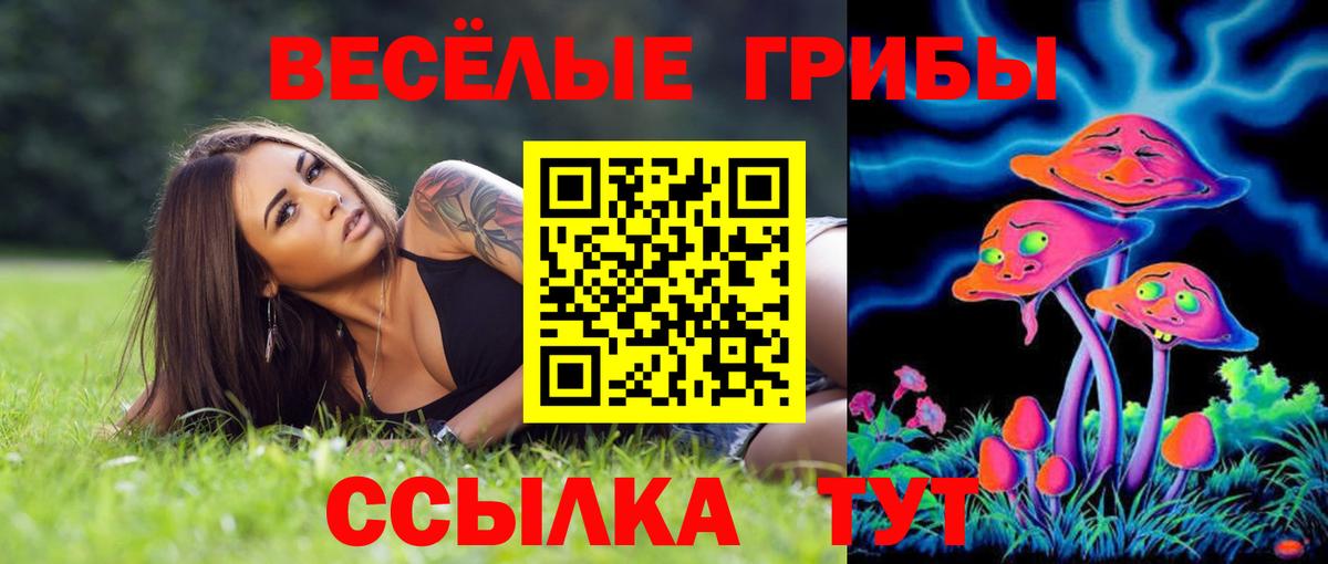 Галлюциногенные грибы мухоморы Орёл